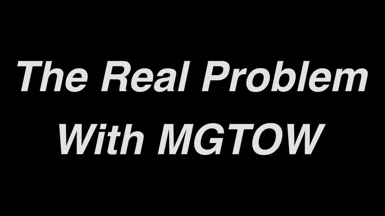 the real problem with mgtow.mp4