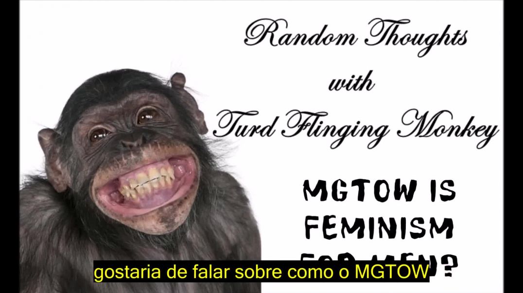 MGTOW é Feminismo para Homens  - TFM