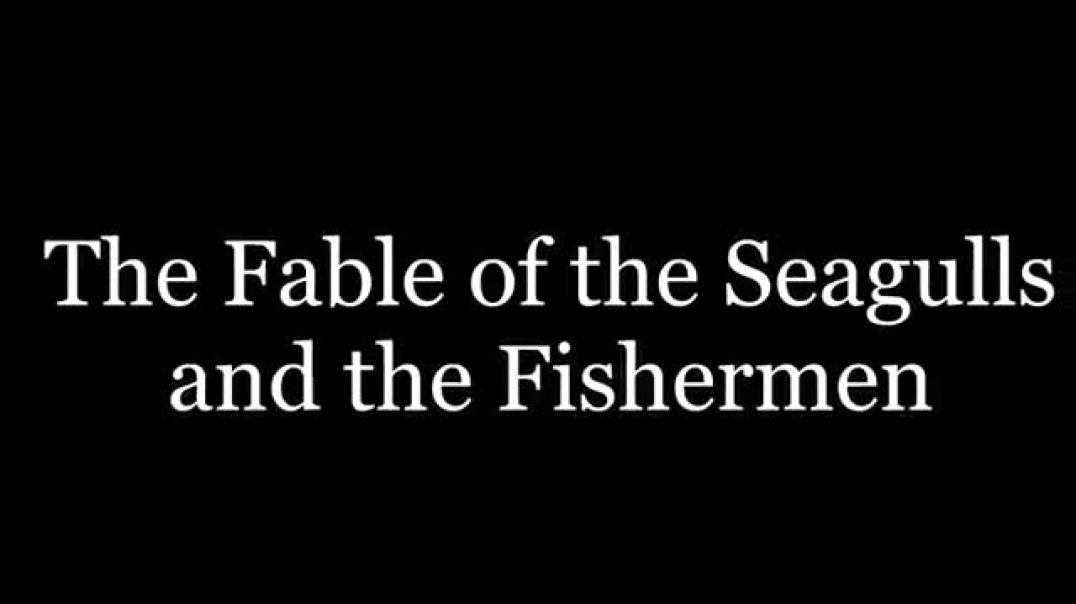 Turd Flinging Monkey | The Fable of the Seagulls and the Fisherman [Mirror]