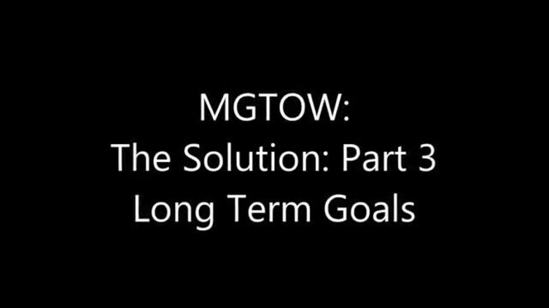 Turd Flinging Monkey | The Solution (3) Long Term Goals [Mirror]