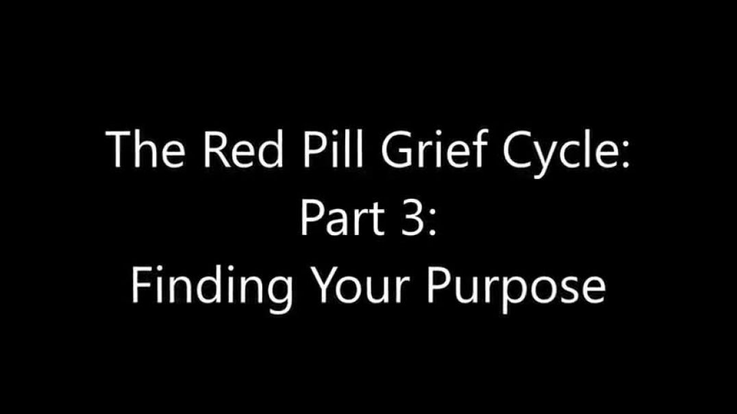 Turd Flinging Monkey | The Red Pill Grief Cycle (3) [Mirror]