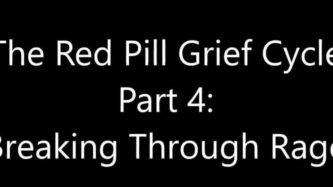 Turd Flinging Monkey | The Red Pill Grief Cycle (4) [Mirror]