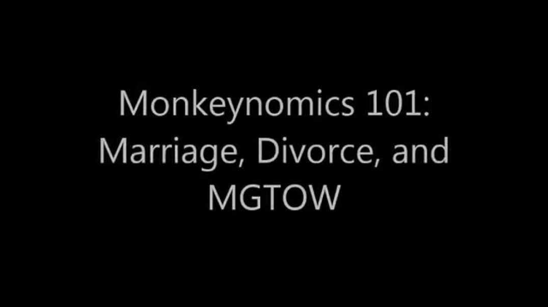 Turd Flinging Monkey | Monkeynomics 101 – Marriage Divorce and MGTOW (Remastered) [Mirror]