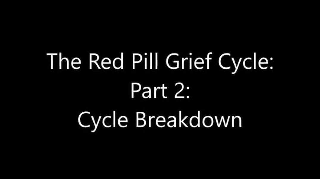 Turd Flinging Monkey | The Red Pill Grief Cycle (2) [Mirror]