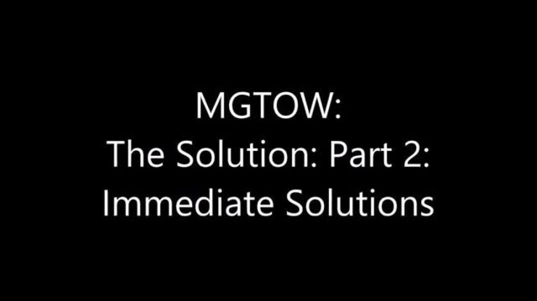 Turd Flinging Monkey | The Solution (2) Immediate Solutions [Mirror]