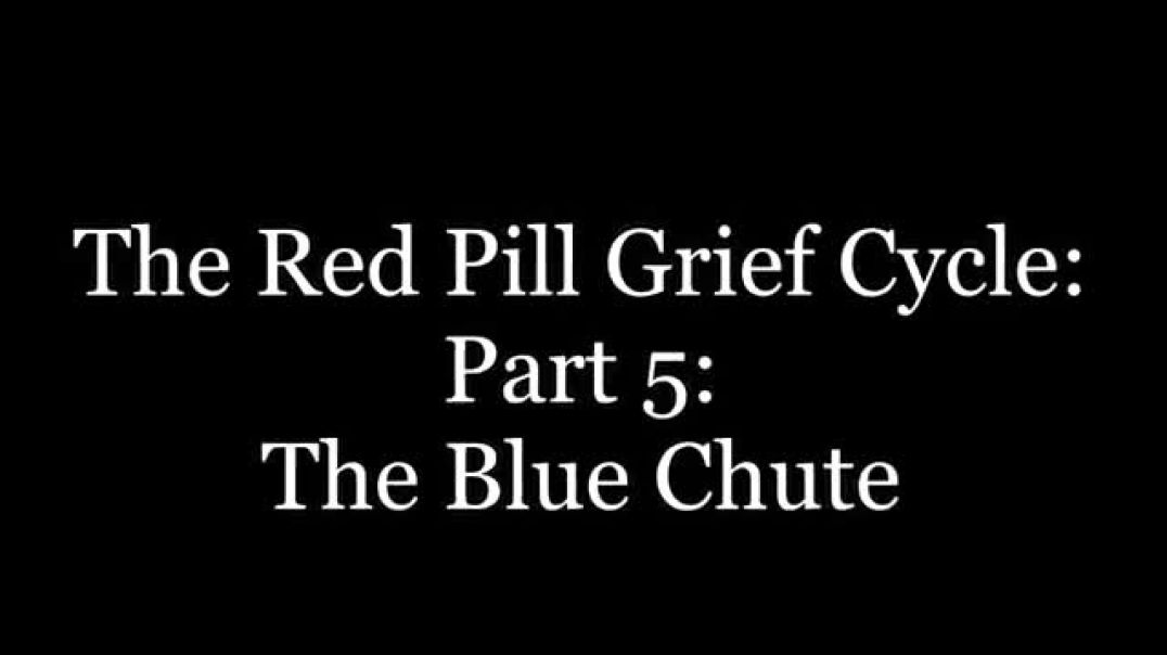 Turd Flinging Monkey | The Red Pill Grief Cycle (5) [Mirror]