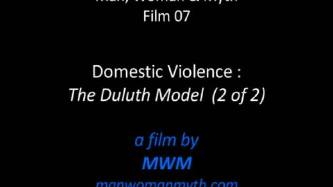 Domestic Violence The Duluth Model 2 Of 2 4404