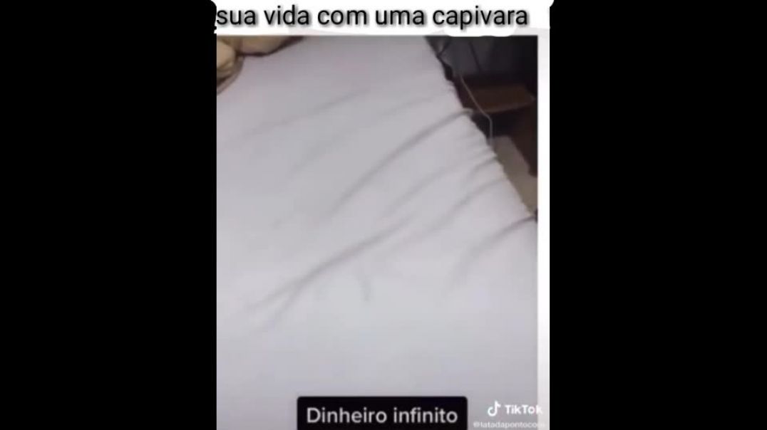 sua vida com uma capivara