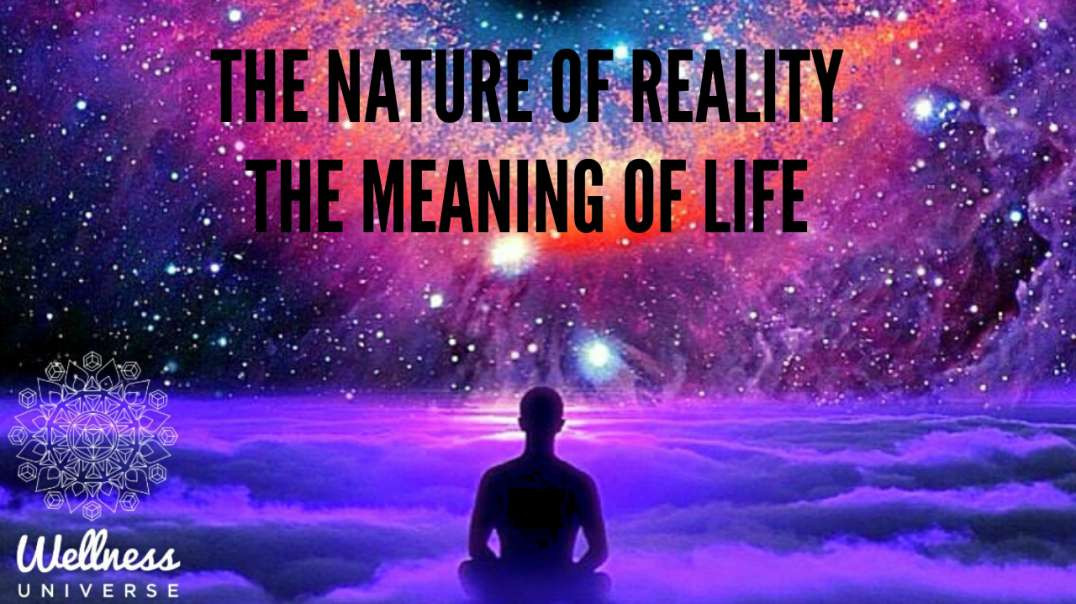 The Nature of Reality and The Meaning of Life