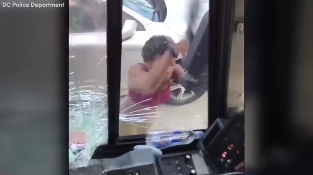 WOMAN SMASHES BUS Window & HITS BUS DRIVER With Her CAR...