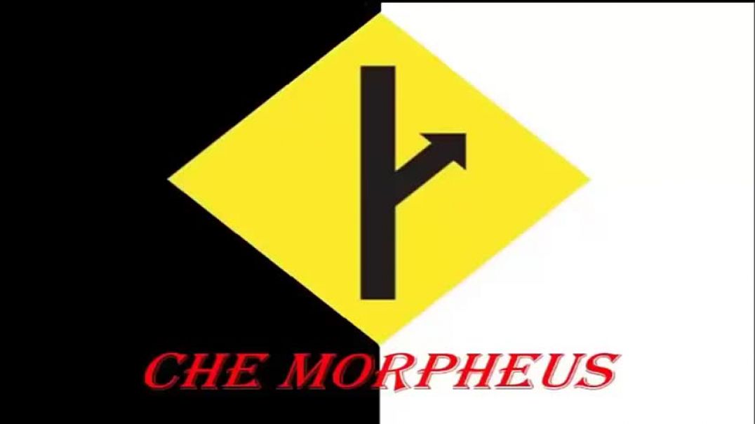 Che Morpheus - La Ley De Briffault - MGTOW