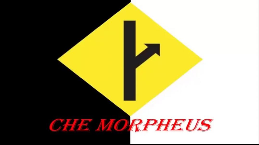 Che Morpheus - 20 Puntos A Tener En Cuenta Si Quieres Tener Novia O Casarte - MGTOW