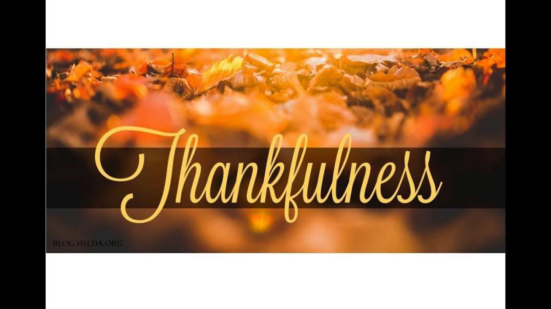 Thankfulness (RED PILL)