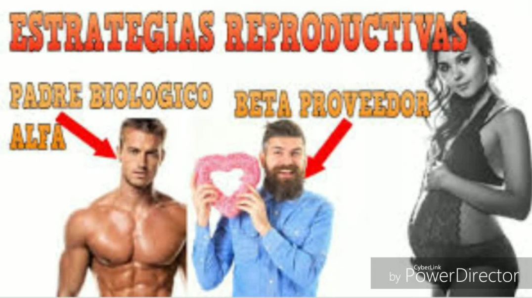 La Estrategia Sexual Dual - MGTOW HISPANO