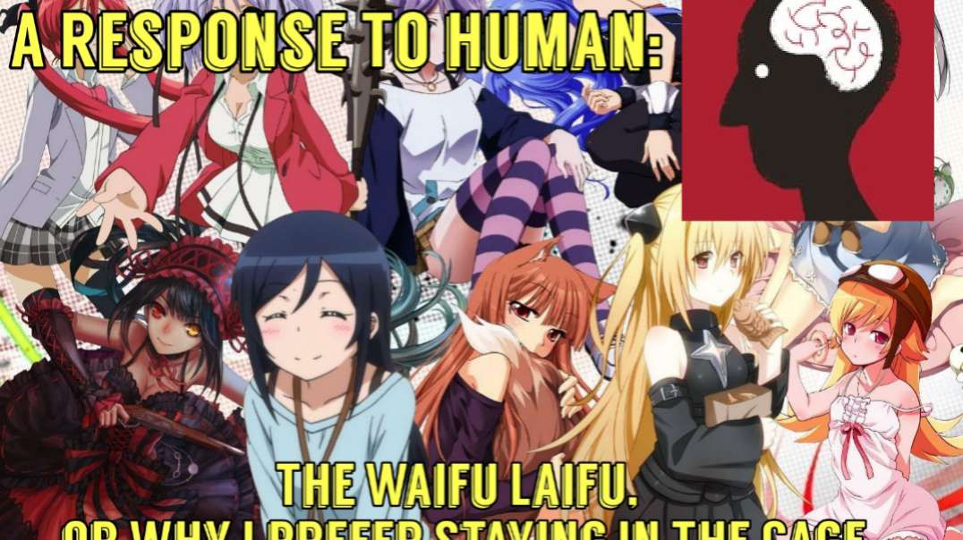 A Response To Human: The Waifu Laifu, Or Why I Prefer Staying In The Cage