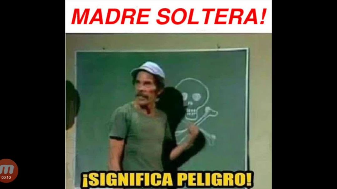 Las Madres Solteras son un Peligro - mgtow 3571