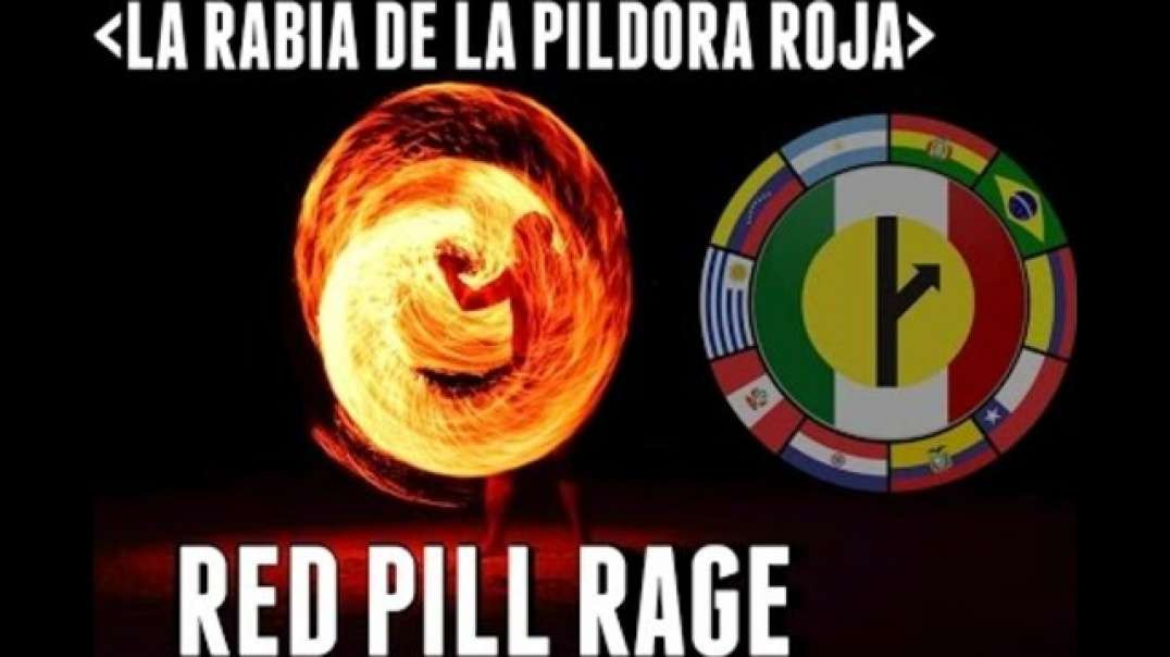 60 LA RABIA DE LA PÍLDORA ROJA (RED PILL RAGE) - MGTOW EN ESPAÑOL