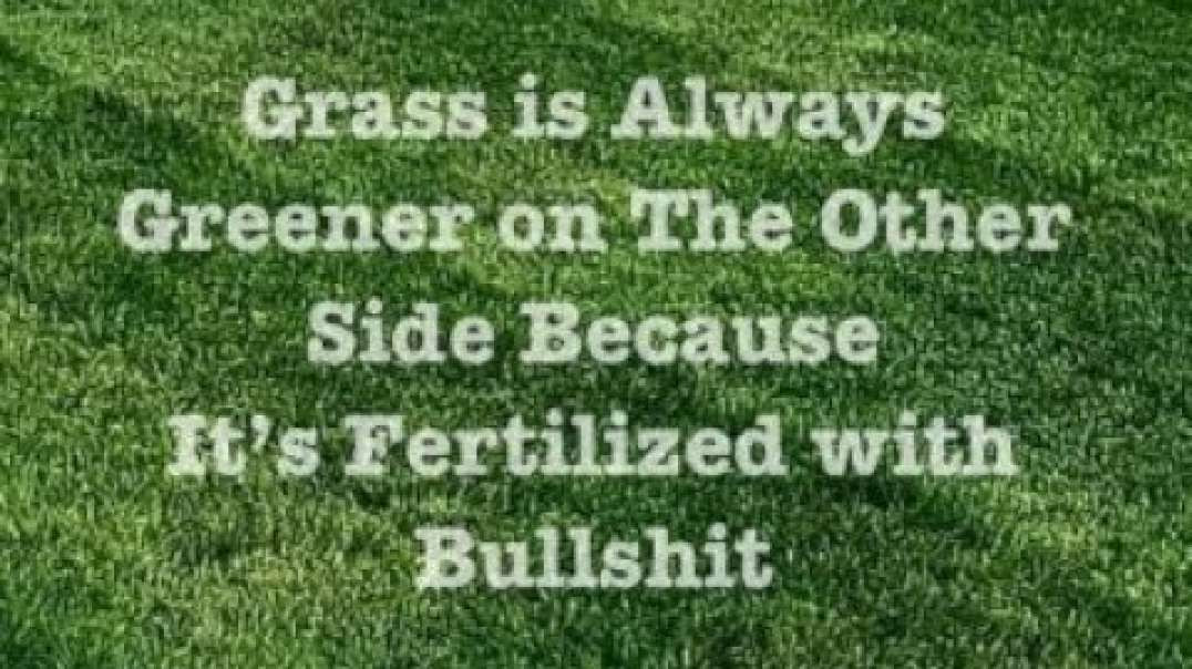 The Grass is Not Greener on the Other Side (RED PILL)