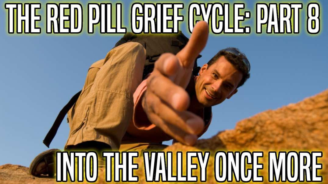 Red Pill Grief Cycle: Part 8: Into the Valley Once More