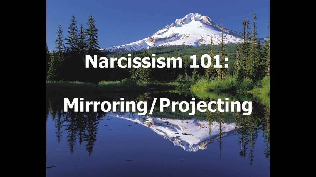 Narcissism 101: Mirroring/Projecting (RED PILL)