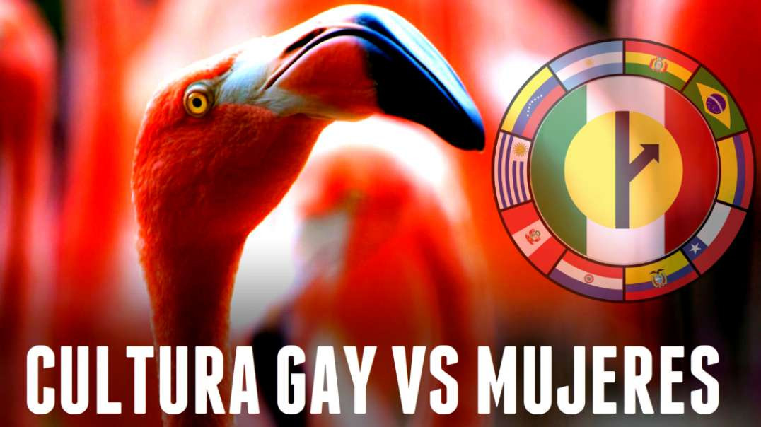 33 CULTURA GAY VS MUJERES - MGTOW EN ESPAÑOL