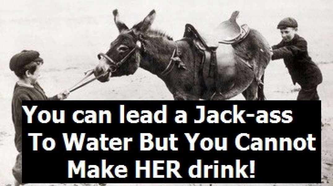 You Can Lead a Jack-ass To Water But You Cannot Make HER drink! (Uncle Pervert strikes again)