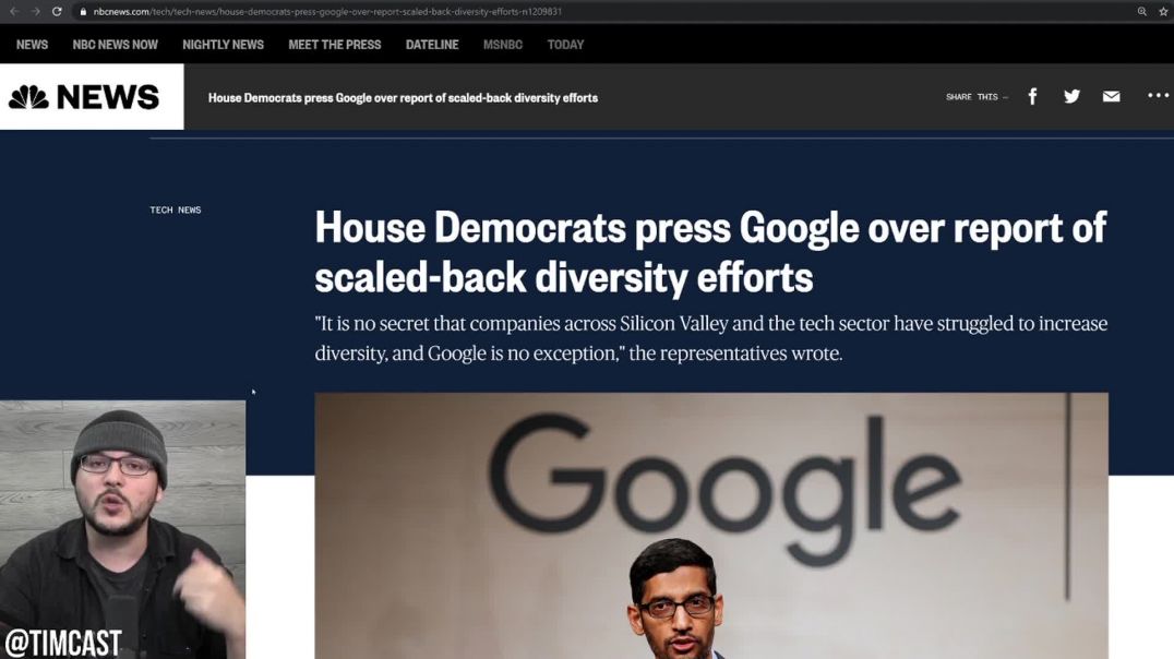 Tim Pool: Media Activist EXPOSED After Getting Democrats To Intervene Over Google Ending Diversity P