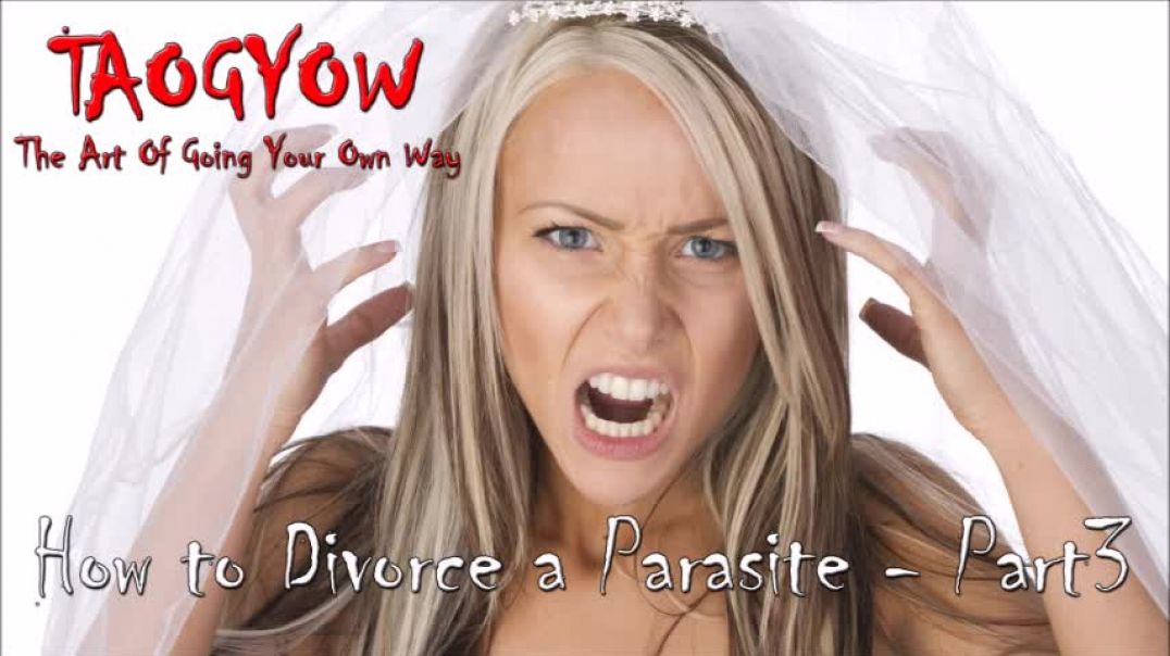 TAOGYOW - How to Divorce a Parasite - Part3