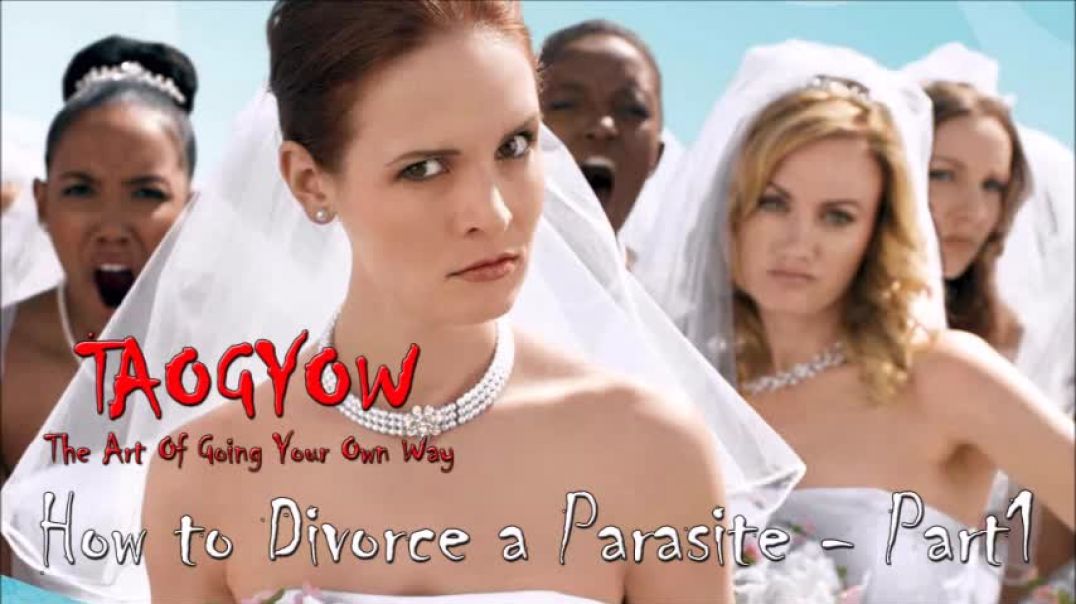 TAOGYOW - How to Divorce a Parasite - Part1