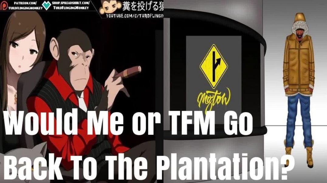 MGTOW - Would RBT Or TFM Go Back To The Plantation?