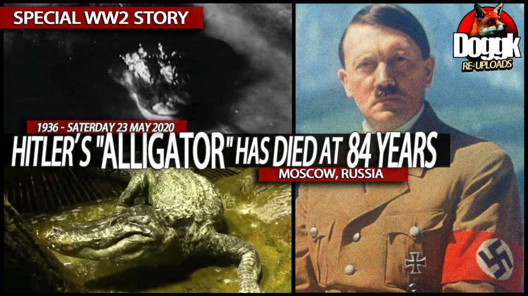 HITLER'S "ALLIGATOR" HAS DIED AT 84 YEARS... (MOSCOW, RUSSIA)