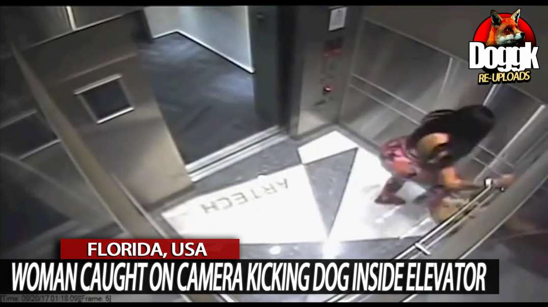 WOMAN CAUGHT on CAMERA KICKING "LITTLE DOG" INSIDE ELEVATOR.. (FLORIDA, USA)