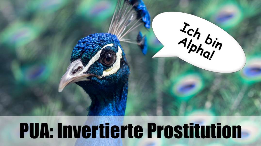 PUA: Invertierte Prostitution