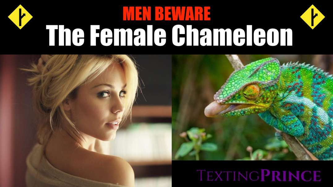 MGTOW -  The Female Chameleon  (Men Beware)