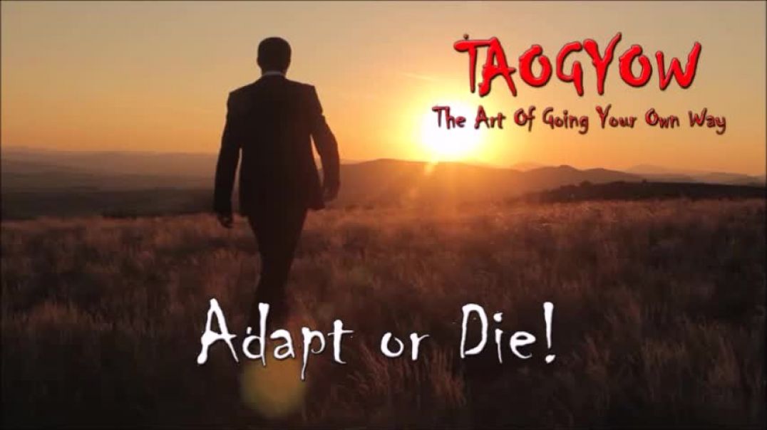 TAOGYOW - Adapt or Die!