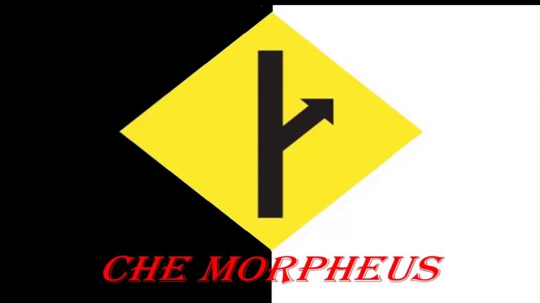 Che Morpheus - La Verdad Sobre Los Viajes Que Hacen Las Turistas Con Sus Amigas - MGTOW