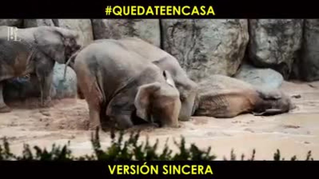 QUÉDATE EN CASA Y MUERE