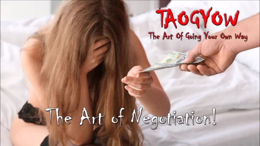 TAOGYOW - The Art of Negotiation!