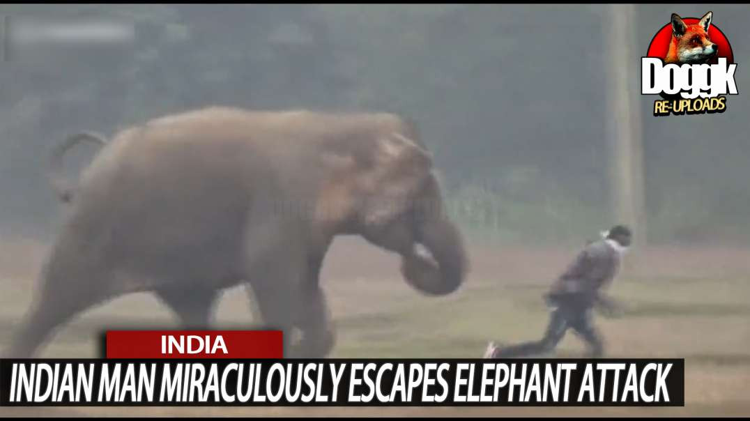 INDIAN MAN MIRACULOUSLY ESCAPES ELEPHANT ATTACK... (INDIA)