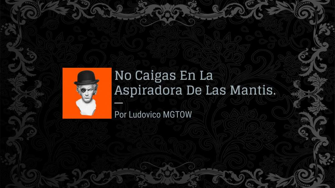 No Caigas En La Aspiradora De Las Mantis | Ludovico MGTOW