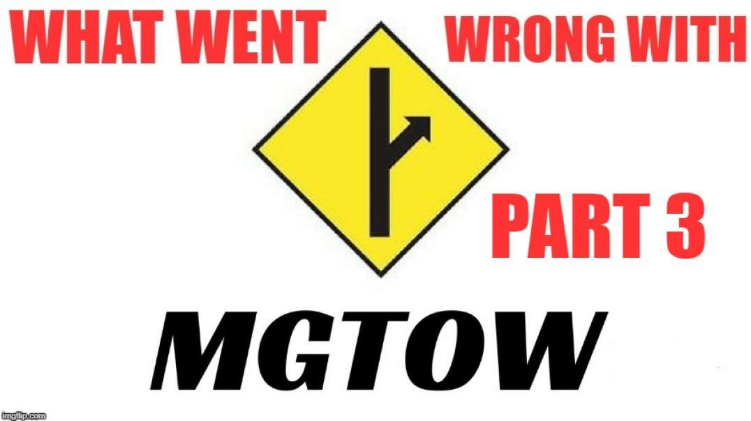 What Went Wrong with MGTOW- Label Corruption and Infighting - Part 3 of 7