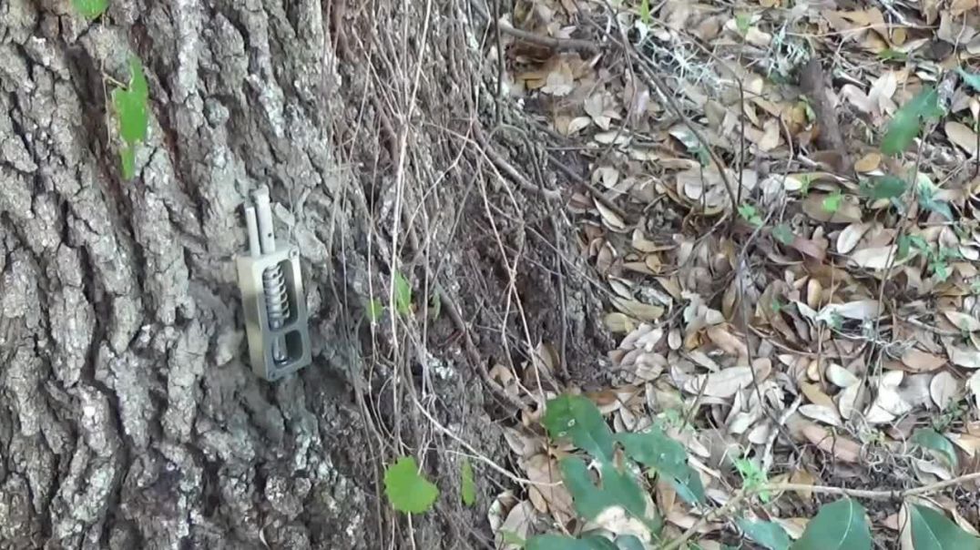 $20 Trip Wire Booby Traps_Perimeter Alarms Fire