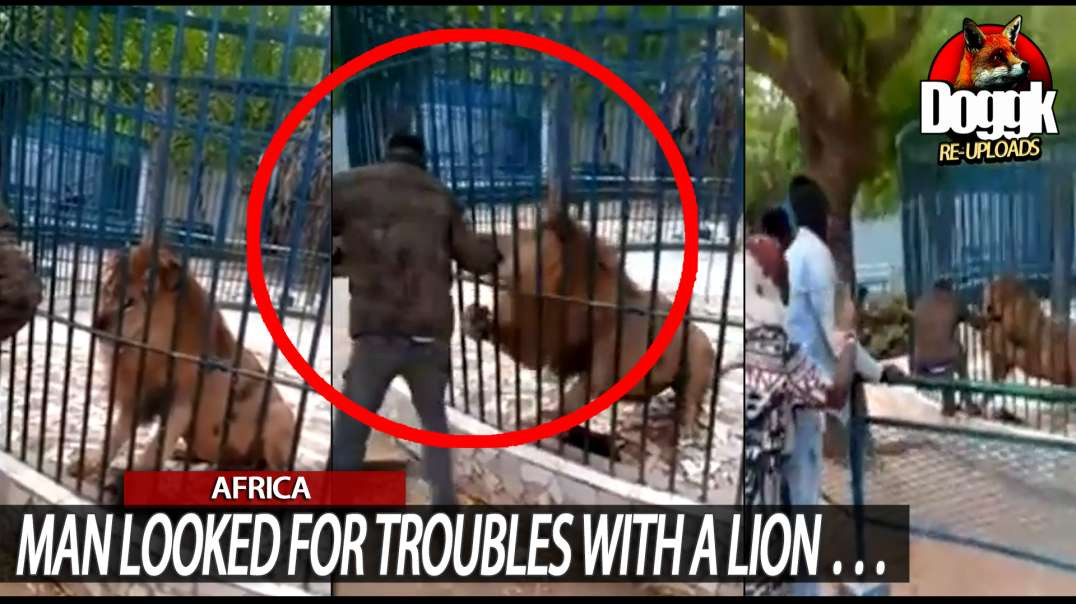 MAN LOOKED FOR TROUBLES WITH A LION... (AFRICA)