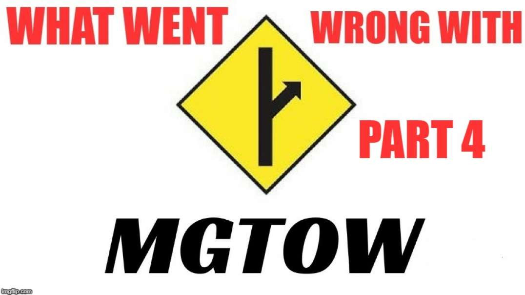 What Went Wrong with MGTOW: PUA's, Traditionalists, and MRA's infiltration - Part 4 of 7