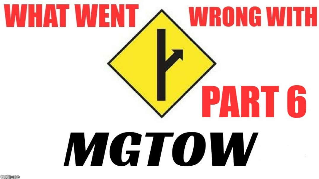 What Went Wrong with MGTOW- Racial and Political Tribalism - Part 6 of 7