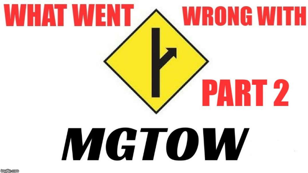 What Went Wrong with MGTOW: Too Much Anger, Hatred, and Selfishness - Part 2 of 7