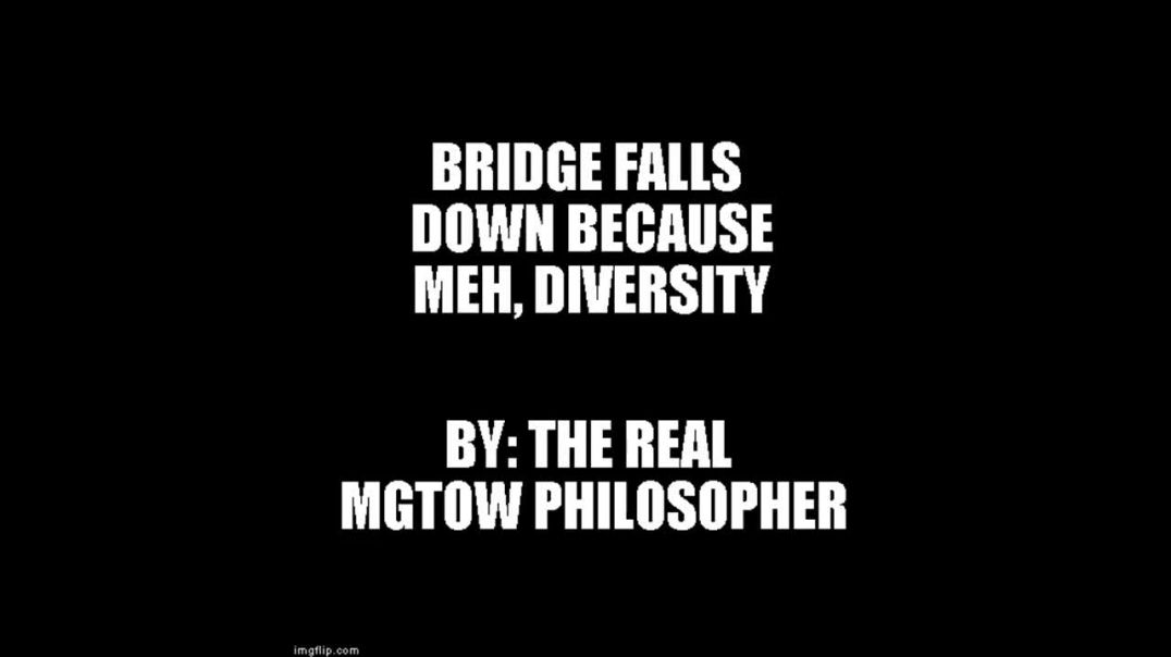 Bridge Falls Down Because Meh, Diversity