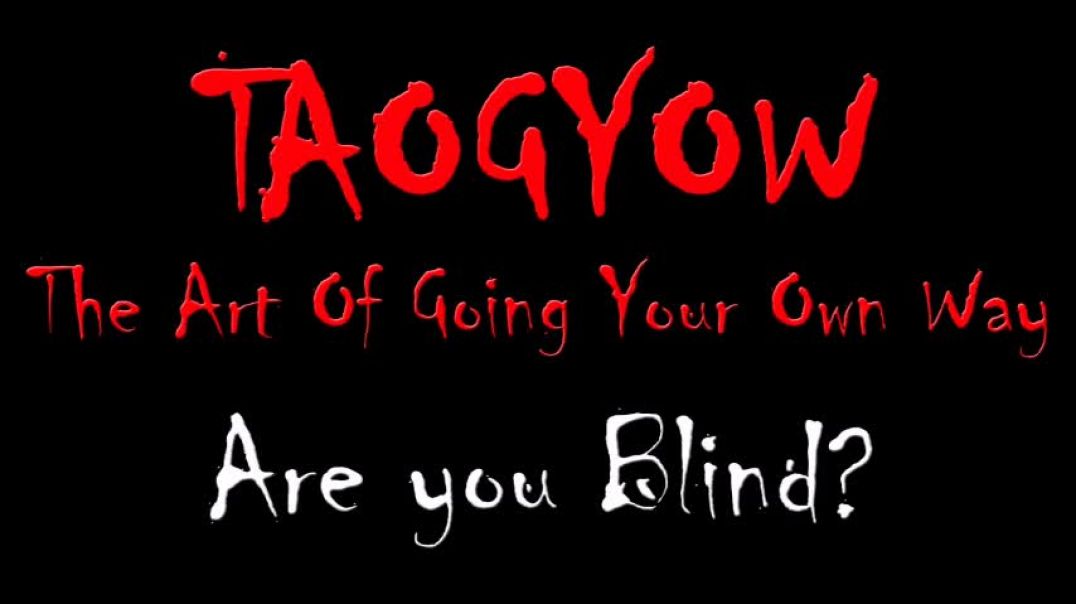 TAOGYOW - Are you Blind?