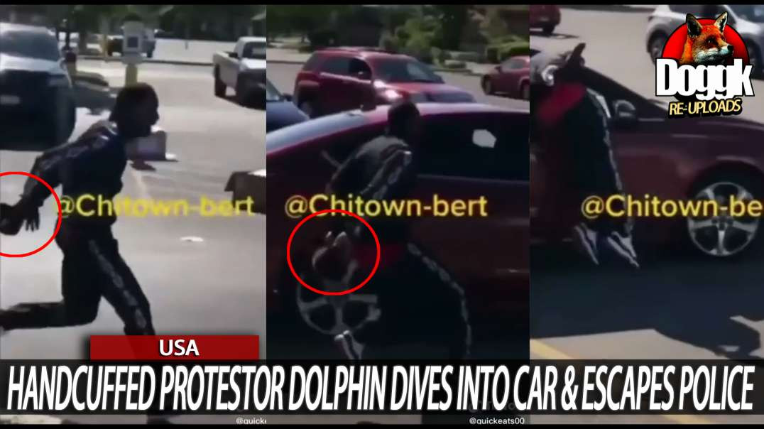 HANDCUFFED PROTESTOR DOLPHIN DIVES INTO CAR AND ESCAPES POLICE.. (USA)