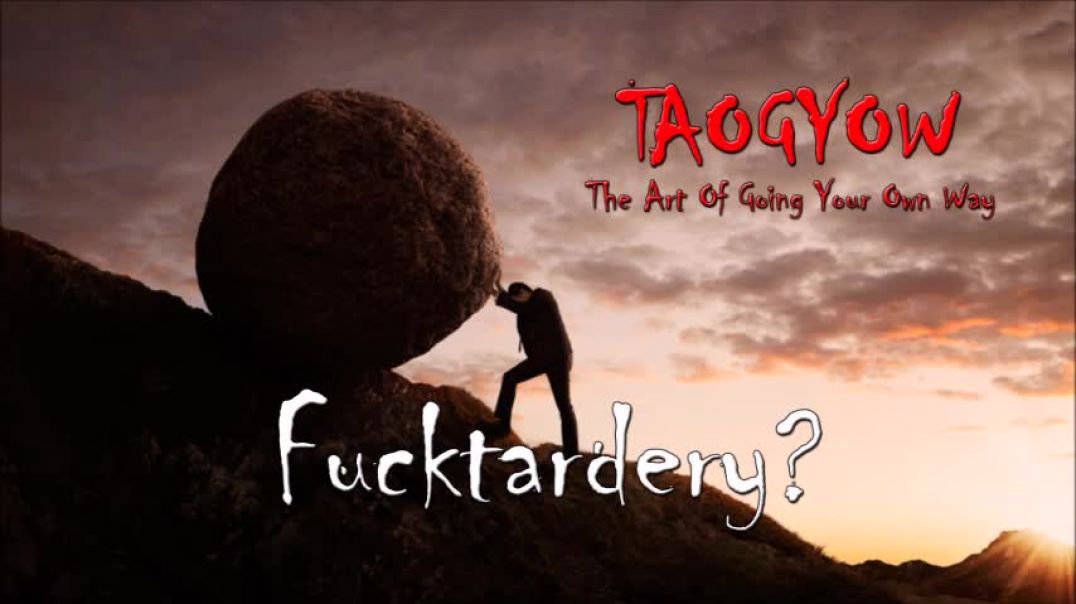 TAOGYOW - Fucktardery?